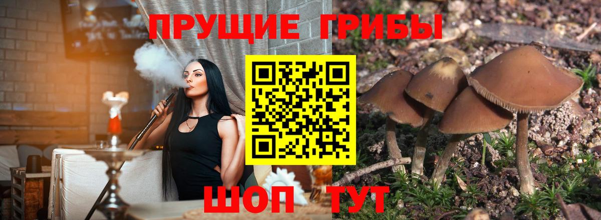 Псилоцибиновые грибы ЛСД Топки
